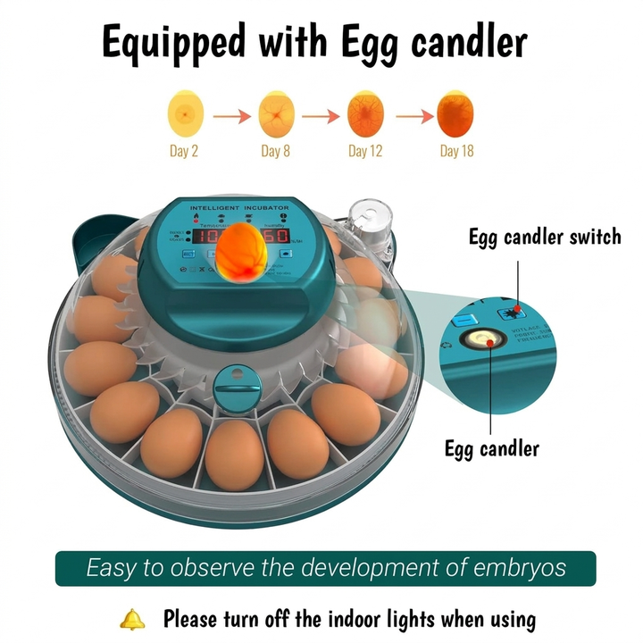 15‑Egg Incubator