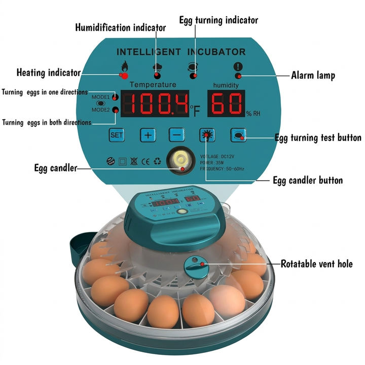 15‑Egg Incubator